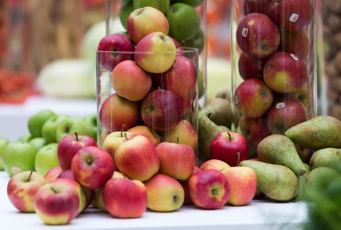 Appels en peren zijn in het seizoen.