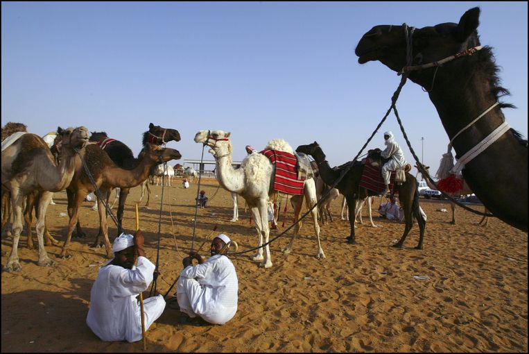 De kamelenmarkt in Riyad. Beeld Gamma-Rapho via Getty Images