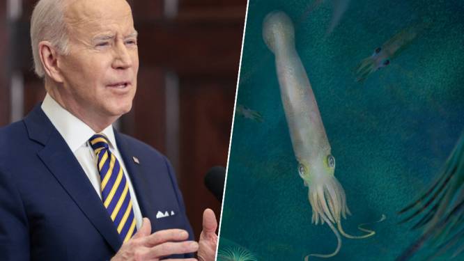 Fossiel van voorouder vampierinktvis vernoemd naar Joe Biden