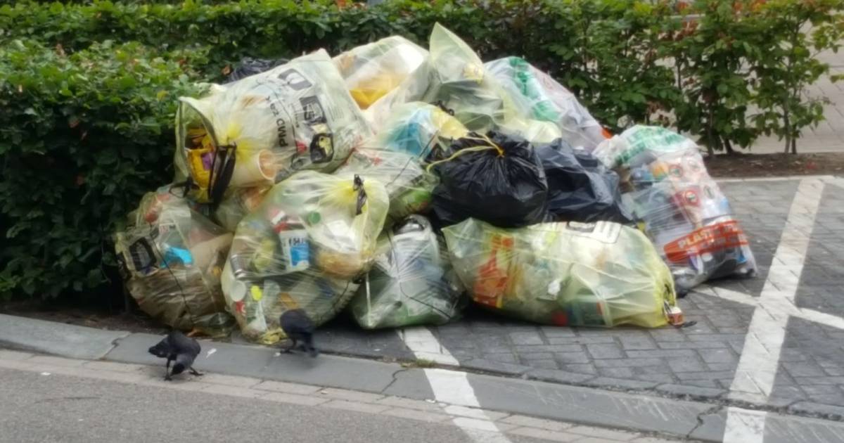 Deens vergeven Samengroeiing Plastic afval mag bij ROVA wel in gekleurde vuilniszak | Zwolle |  destentor.nl
