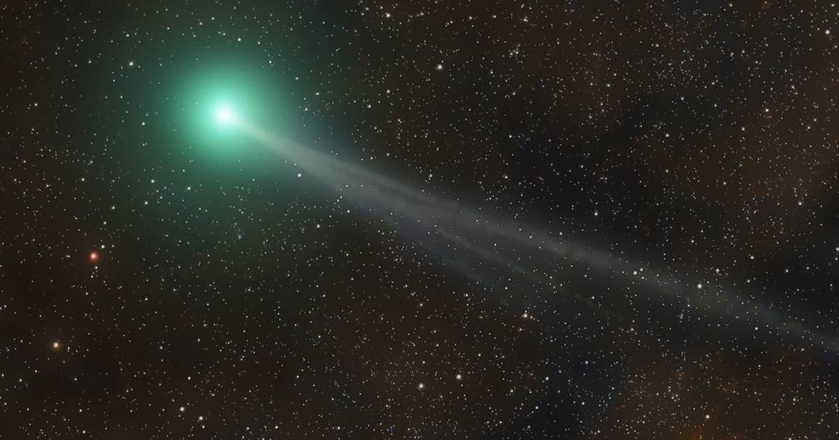 Opportunità di avvistare la cometa appena scoperta (prima che scomparisse per 437 anni) questo fine settimana |  Scienze