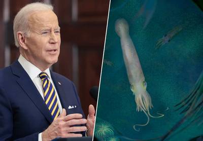 Fossiel van voorouder vampierinktvis vernoemd naar Joe Biden