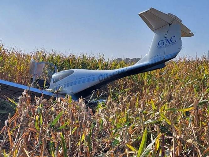 Sportvliegtuigje geraakt net niet aan vliegveld Ursel, en maakt noodlanding in maïsveld: “Piloot reageerde zeer rustig”