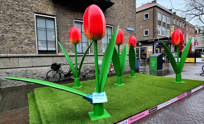 Ook in 2022 werden de vrolijke tulpen in de Enschedese binnenstad al vernield.