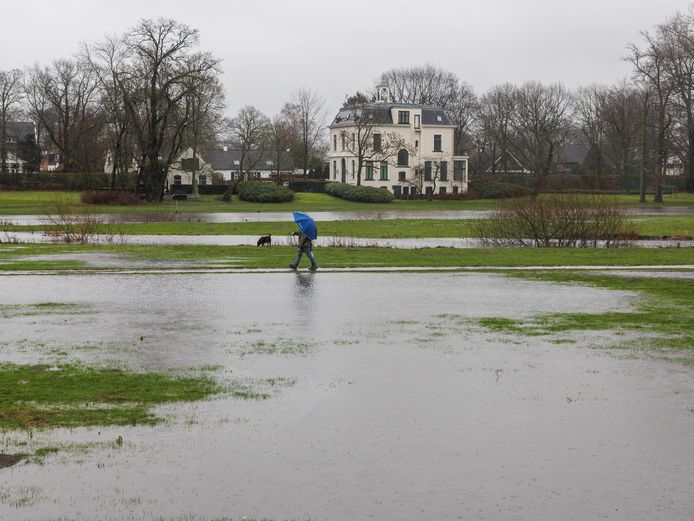 Hoogwater in het Markdal bij Breda, afgelopen januari.