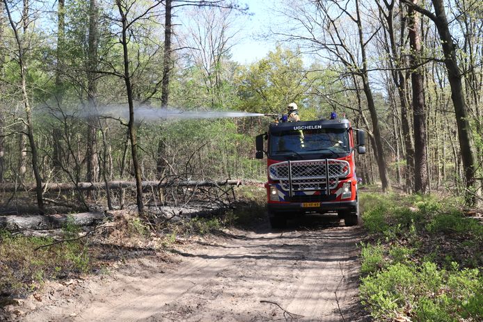 De brandweer moest een brand in de bossen van Ugchelen maandagmorgen blussen.