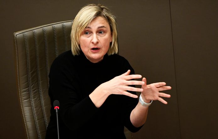 Vlaams minister van Economie Hilde Crevits (CD&V) zei dat vanuit Vlaanderen 28 dossiers zijn doorgespeeld.