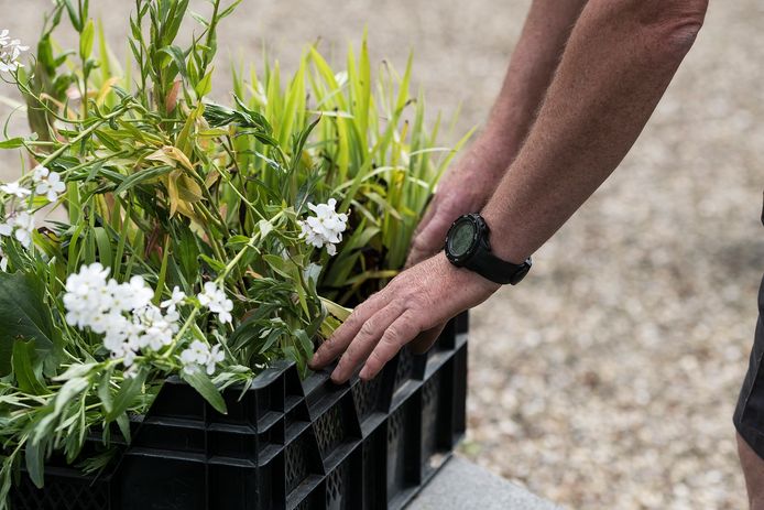 Buurtbewoners en hoveniers gaan onder meer nadenken over beplanting en inrichting van het terrein.