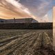 Grappenmaker of kunstcollectief? Mysterieuze monoliet duikt op op aardappelveld in Baasrode