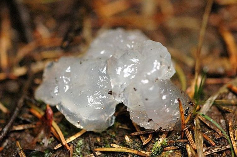 null Beeld Wikimedia Commons/James Lindsey