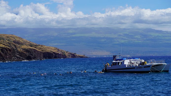 Foto ter illustratie: toeristen op snorkeltour bij Maui, Hawaï.