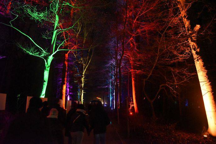 De WinterFloridylle brengt een vleugje magie naar de Plantentuin in Meise.