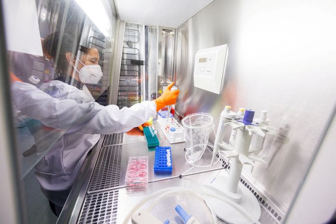 Illustratiebeeld: een medewerker werkt aan het vaccin van Bavarian Nordic in een labo nabij München op 24 mei 2022.