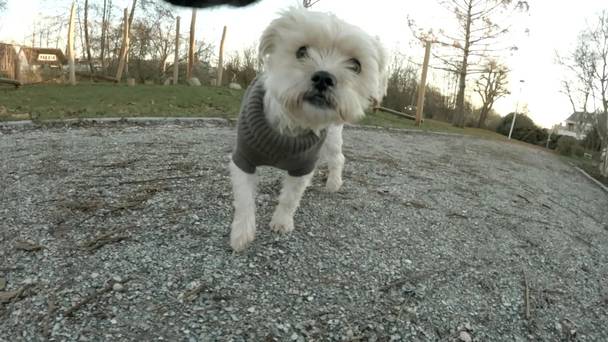 2Doc kort: And a Happy New Year