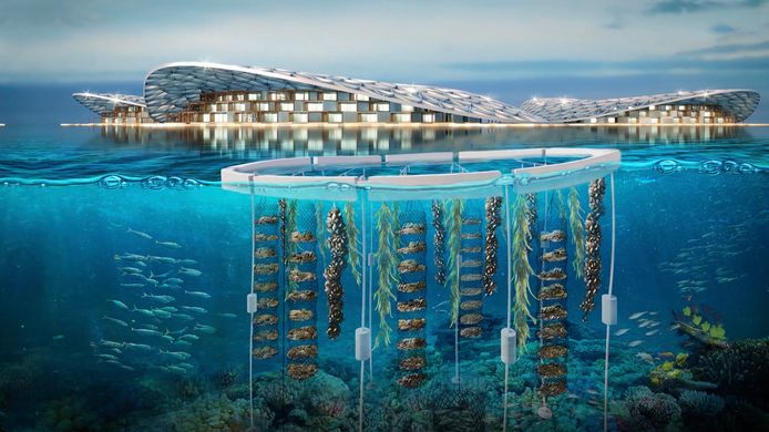 Conceptbeeld van wat 's werelds grootste oceaanherstelproject moet worden, voor de kust van Dubai. Het zou worden gebruikt voor marien onderzoek, regeneratie en ecotoerisme.