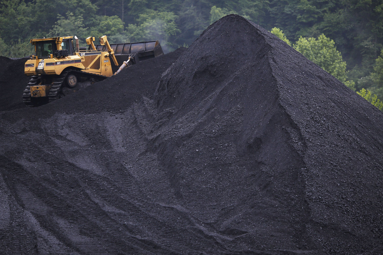 Een berg steenkool in de Amerikaanse staat Kentucky. Beeld AFP