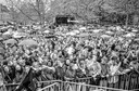 Het eerste Bevrijdingsfestival in Zwolle, toen nog op het Grote Kerkplein. De regen kwam met bakken uit de hemel op 5 mei 1991.
