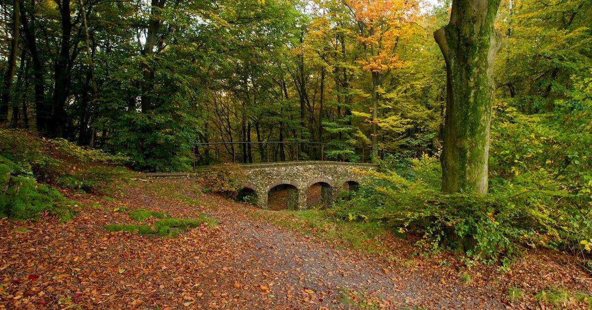 Herfstwandeling over stuwwal Heveadorp