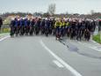 LIVE GENT-WEVELGEM. Van Avermaet blikvanger in kopgroep van 14, geen windslag in De Moeren