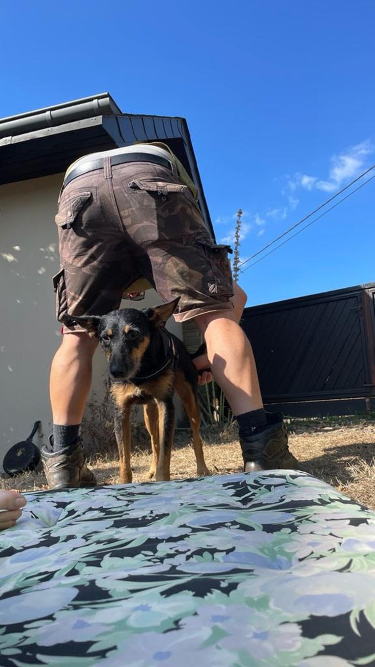 Marnix Peeters en zijn hond Boef. Beeld Marnix Peeters