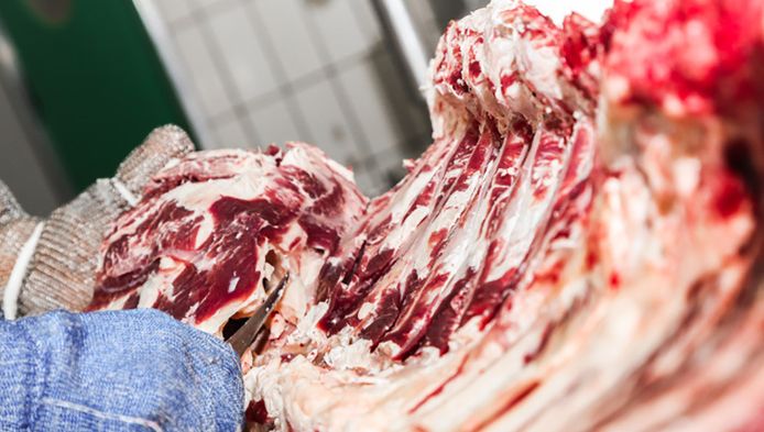 40 Jaar Oud Vlees Bestemd Voor Supermarkten En Restaurants Buitenland Hln Be