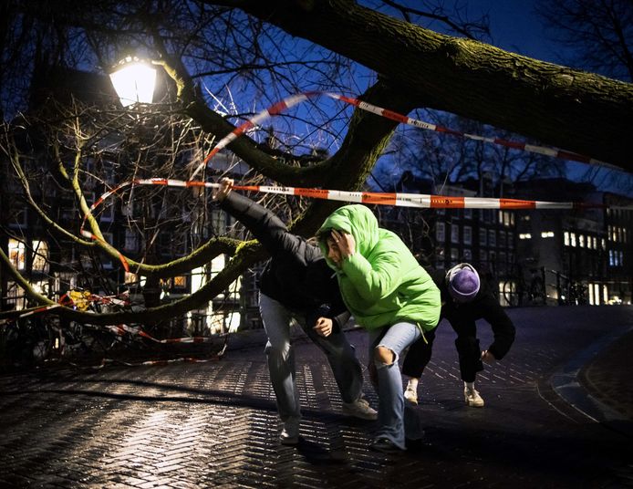 Een omgevallen boom door storm Eunice in het centrum van Amsterdam.