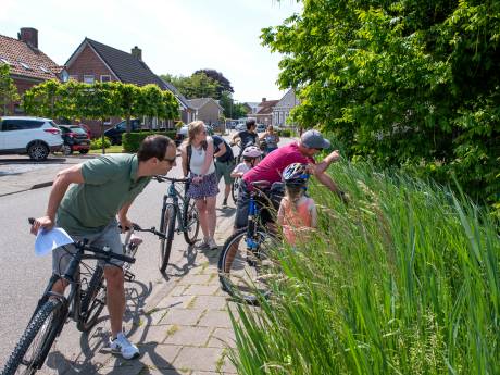 Fietsen en tegelijkertijd puzzelen in Heerle: ‘Hoeveel herten zien jullie in deze tuin?’