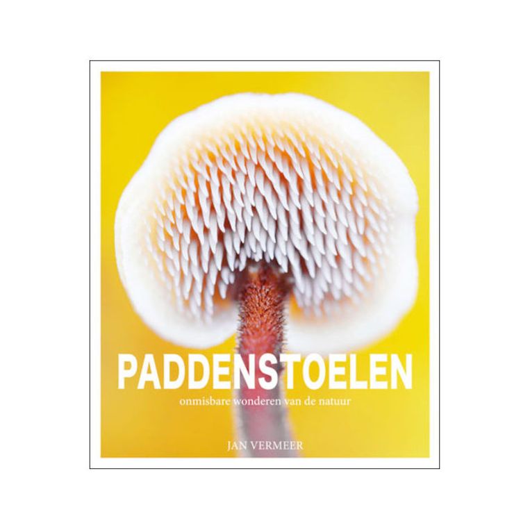 null Beeld   