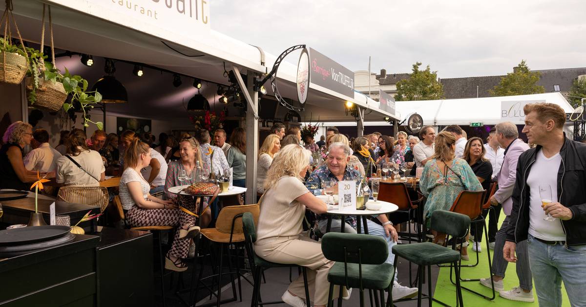 meer-animo-voor-bourgondisch-s-hertogenbosch-een-zeer-geslaagde