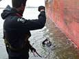 War on Drugs gaat (letterlijk) kopje onder: Nederlandse duikers helpen Belgische douane in strijd tegen cocaïnesmokkel
