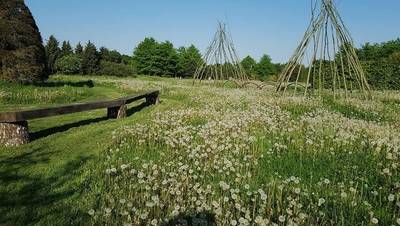 Zeddams Kek Festival afgelast: coronacrisis zorgt voor teveel onzekerheid