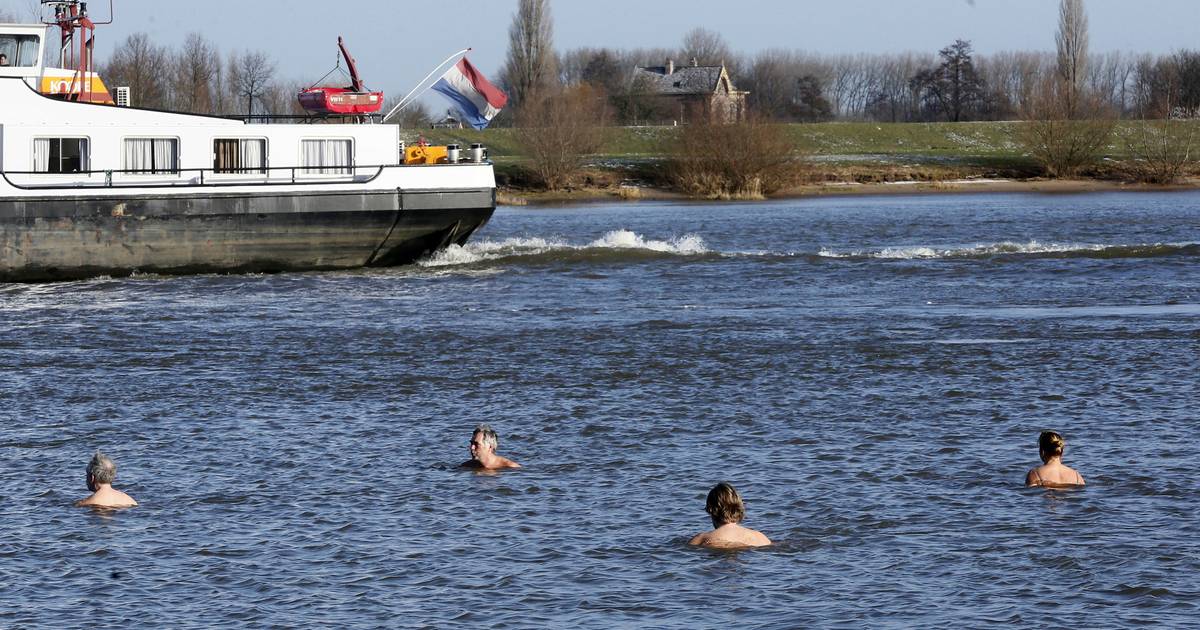 Zwemmen In Rivier Of Kanaal Vaak Levensgevaarlijk En Verboden Binnenland Ad Nl