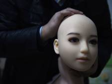 "Ma poupée est mieux que ma femme, elle ne résiste pas"
