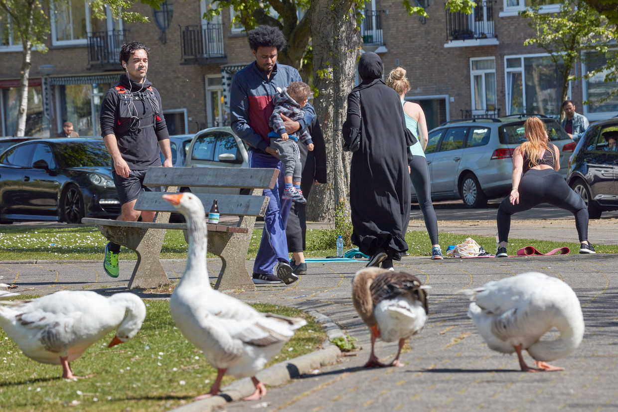Drukte in het Rotterdamse Kralingen. Beeld Otto Snoek