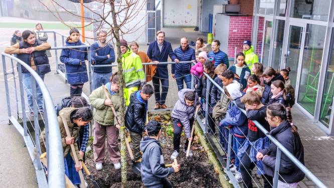 Leerlingen SB Centrum krijgen boom omdat ze deelnamen aan Wereldwaterdag