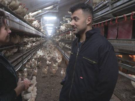 Eus gaat langs bij pluimveehoudster: ‘Animal Rights stelt zich boven de wet’