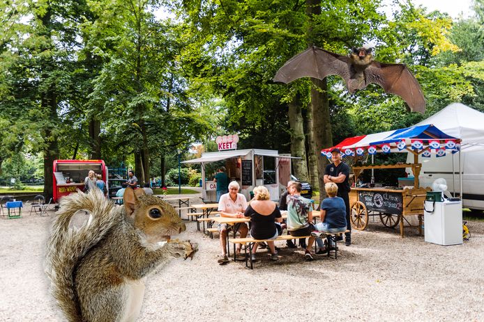 Walkartpark in Zeist met eekhoorns en vleermuizen. Bewerkte foto.