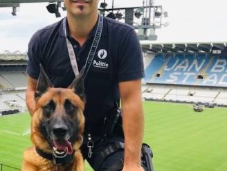 Politiezone Riho en baasje Stephane nemen na 10 jaar noodgedwongen afscheid van hond Deco: “Lieve loebas die er ook stond wanneer nodig.”