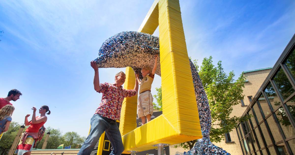 Kunstwerk van plastic afval op terras Museon Den Haag AD.nl