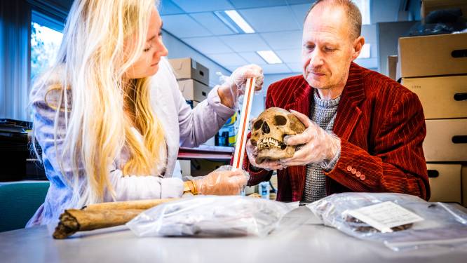 In 16de eeuws graf in Oud-Beijerland is skelet ‘van één van oudste bewoners’ gevonden: ‘Historische sensatie’