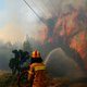 Biologen in Californië: "Blus bosbranden niet"
