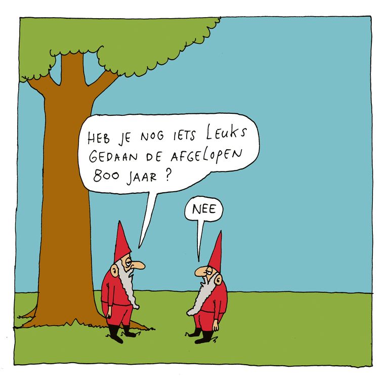 null Beeld Gummbah