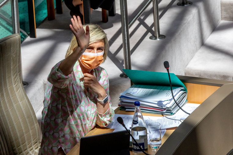 Vlaams minister van Economie Hilde Crevits (CD&V). Beeld BELGA