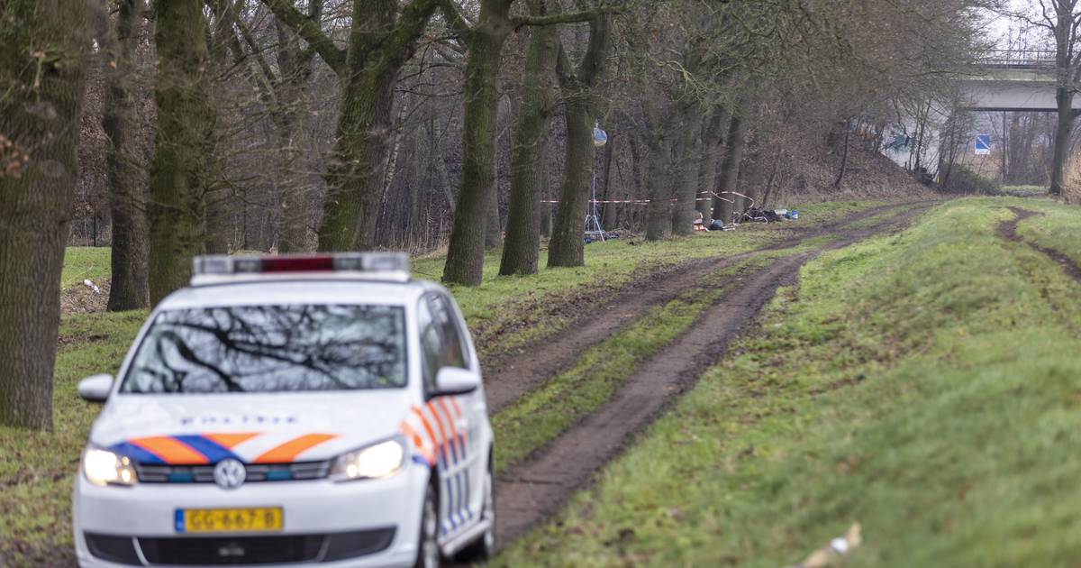 Scholiere Lotte (14) dood gevonden bij Almelo, twee arrestaties ...