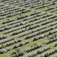 Westhoek mikt op half miljoen toeristen dit jaar