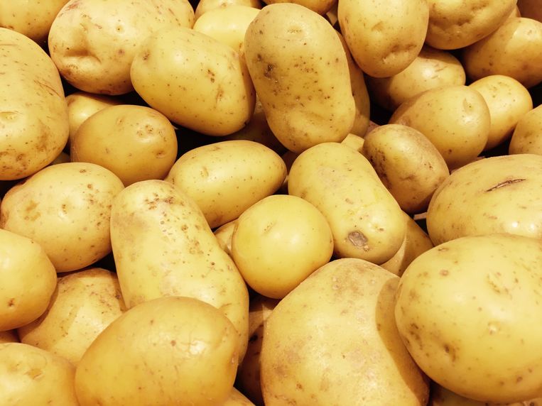 In de 30 kilometer om Amsterdam worden 1,3 keer meer aardappels geteeld dan er worden gegeten. foto Shutterstock Beeld shutterstock