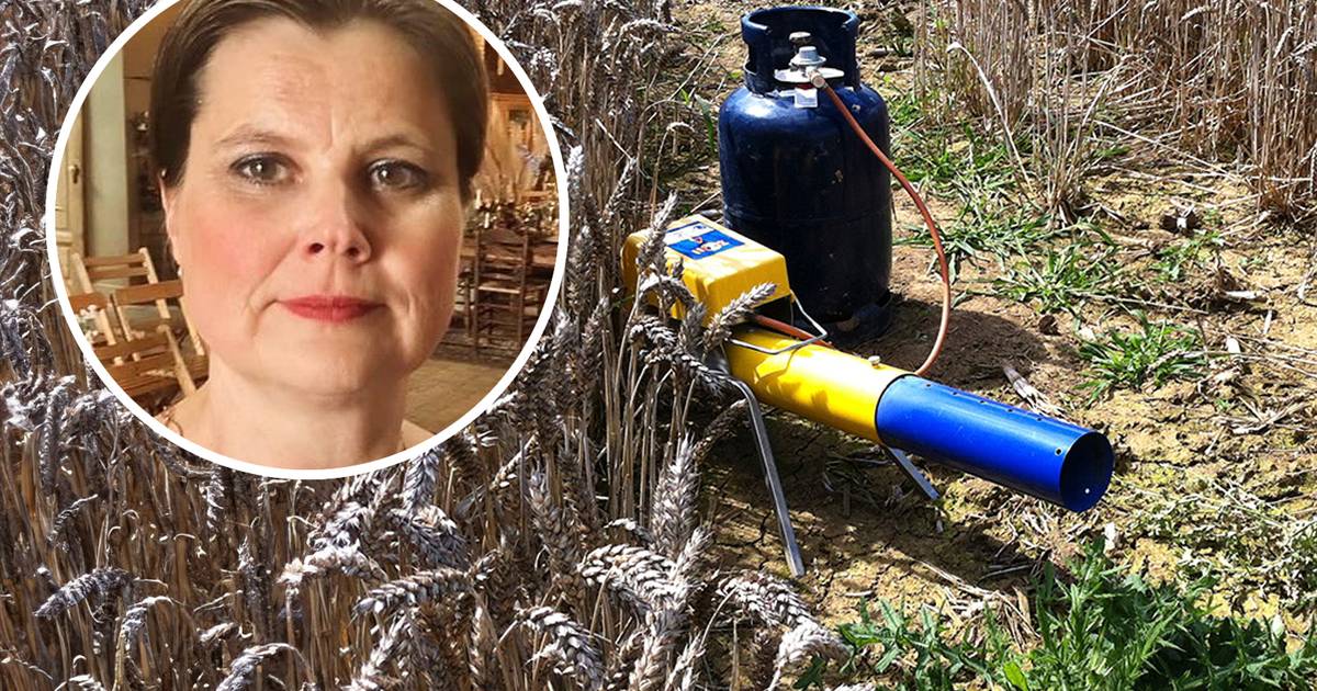 Boemboemboemboem inwoners liggen er wakker van, maar wat is dat