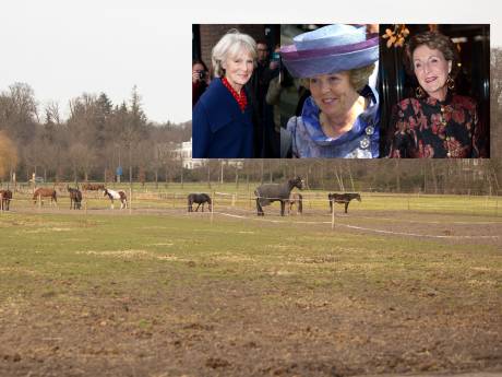 Wijk Soestdijk smeekt drie prinsessen: ‘Hou woningbouw op uw grond tegen’