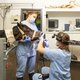 Wie dierenarts wil worden, moet straks een toelatingsproef doen