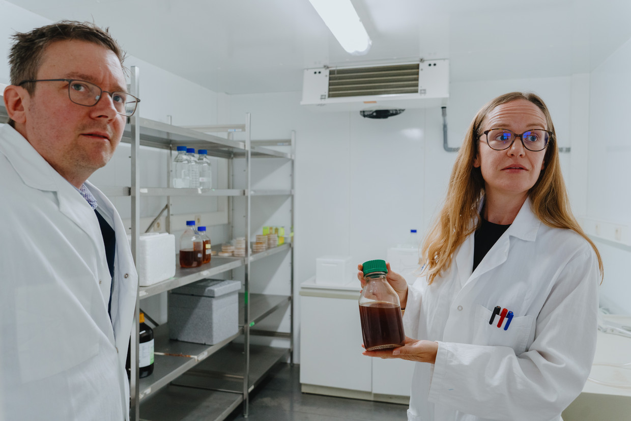 Hermes Sanctorum (l.): ‘Er zullen geen hamburgers van Paleo in de rekken liggen. We gaan ons product, als ingrediënt, verkopen aan producenten van vleesvervangers.’

 Beeld Wouter Van Vooren